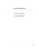 Strategic Management BTG