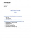 Rapport de projet, serveurs VTP