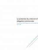 La protection des créanciers