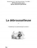 La débrouissailleuse - Outil d'aide pour la construction du diagnostic socio-éducatif