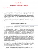 Droit des Biens - Cas Pratiques - La propriété