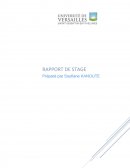 Rapport de stage d'assistant helpdesk