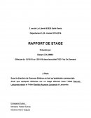 Rapport de stage TOD trip on demand