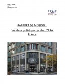 Rapport de stage Zara