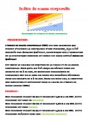 Indice de masse corporelle