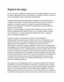 Rapport de Stage Alpina