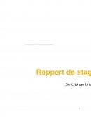 Rapport de stage de seconde