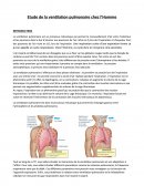 Étude de la ventilation pulmonaire chez l'Homme