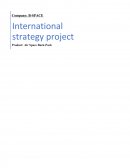 Internationnal strategy project