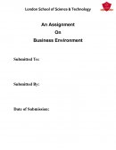 An Assignment on business environment