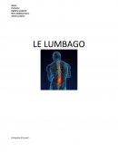 Rapport sur le lumbago