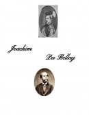 Biographie de J. Du Bellay