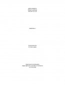 Entité-relation