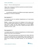 Le survenant, plan détaillé