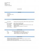 Exemple de CV