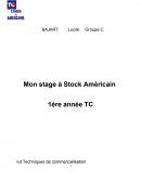 Rapport de stage Stock Américain de Valenciennes