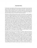 Dissertation finale sur Montesquieu
