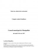 Conseil municipal de Montpellier