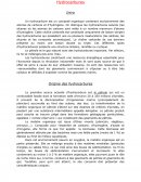 Les hydrocarbures