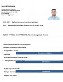 CV de diplômé en commerce