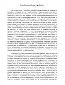 Dynamiques sociales des organisations