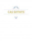 L'entreprise SOTHYS