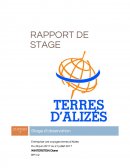 Rapport de stage agence de voyages