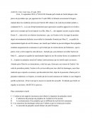 Plan commentaire d'arrêt de la Ch. Crim. de Cour Cass. 23-09-2010