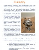 Le robot Curiosity