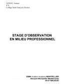 Rapport de Stage ESMA