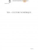 Culture numérique