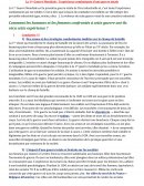 La 1ère guerre mondiale, l'expérience combattante d'une guerre totale
