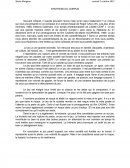 Synthèse de documents