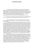 Dissertation : Citation d'Emile Zola sur le personnage de roman