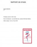 Rapport de stage, les dominitiennes