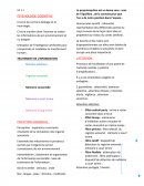 Psycologie cognitive : le lien entre la biologie et la neurologie