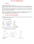 Les voies anaplérotiques