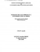 Cours de droit, introduction au droit