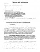 Théories de la socialisation
