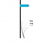 Rapport Lick Montpellier 2017