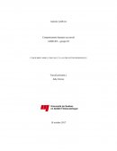 Les effets du sentiment d’efficacité personnelle sur la relation entre l’équilibre TF et la satisfaction au travail