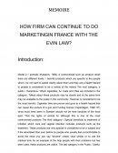 HOW FIRM CAN CONTINUE TO DO MARKETING IN FRANCE WITH THE EVIN LAW?