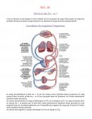 Cours sur le coeur IFSI