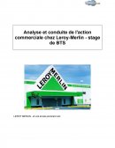 Analyse et conduite de l'action commerciale chez Leroy-Merlin