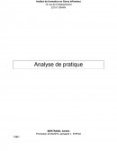 Analyse de pratique