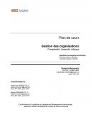 Gestion des organisations