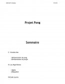 Projet Pong en language C