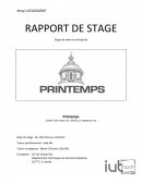 Rapport de stage Printemps
