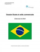 Etude pays : le Brésil