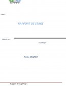 RAPPORT DE STAGE DANS UN FIDUCIAIRE